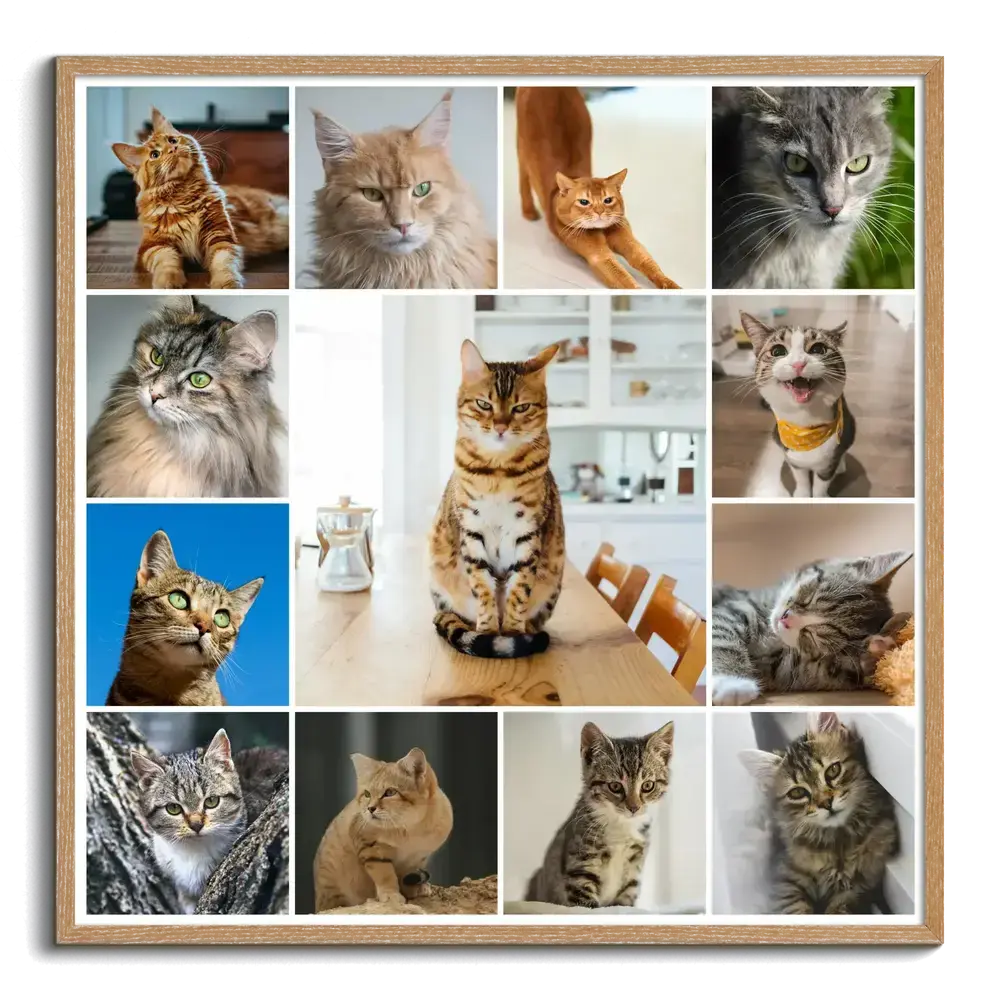 Cat photo collage in a natural wood frame with a large central photo and smaller portraits, a gift for cat lovers