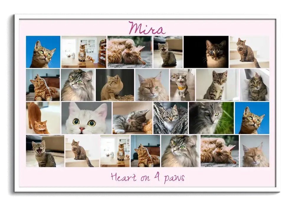 Cat photo collage in a white frame with a pink background and custom name, a gift for cat lovers