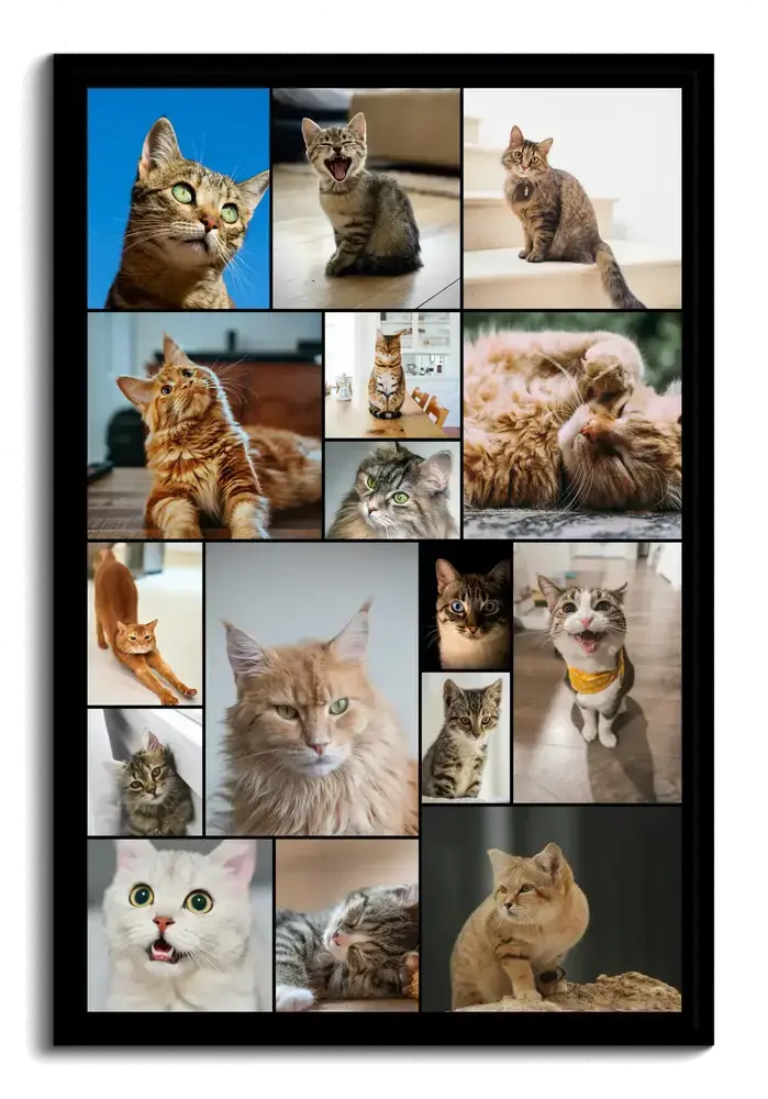 Cat photo collage in a black portrait frame with mixed-size cat pictures separated by narrow dark borders