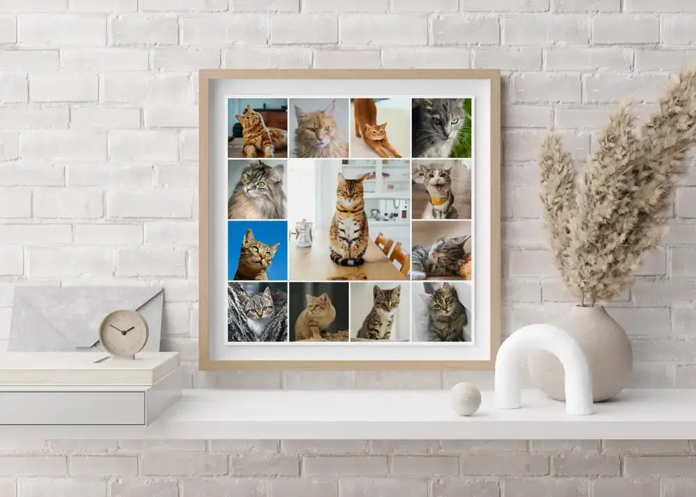 Cat photo collage with a large central photo in a light wood frame on a white shelf against a white brick wall