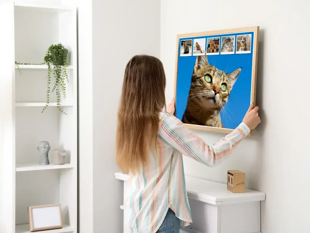 Wood-framed cat photo collage with a blue background and a row of small photos on the wall above a white cabinet