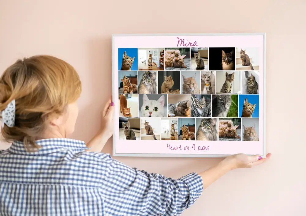Personalized cat photo collage with rows of pictures and pink text, in a white frame on a peach wall