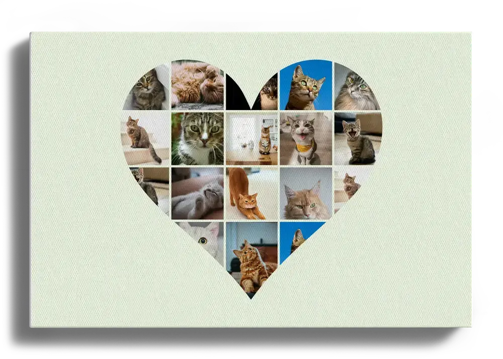 Landscape canvas with cat photos arranged in a heart on a pale green background, wall art for cat lovers