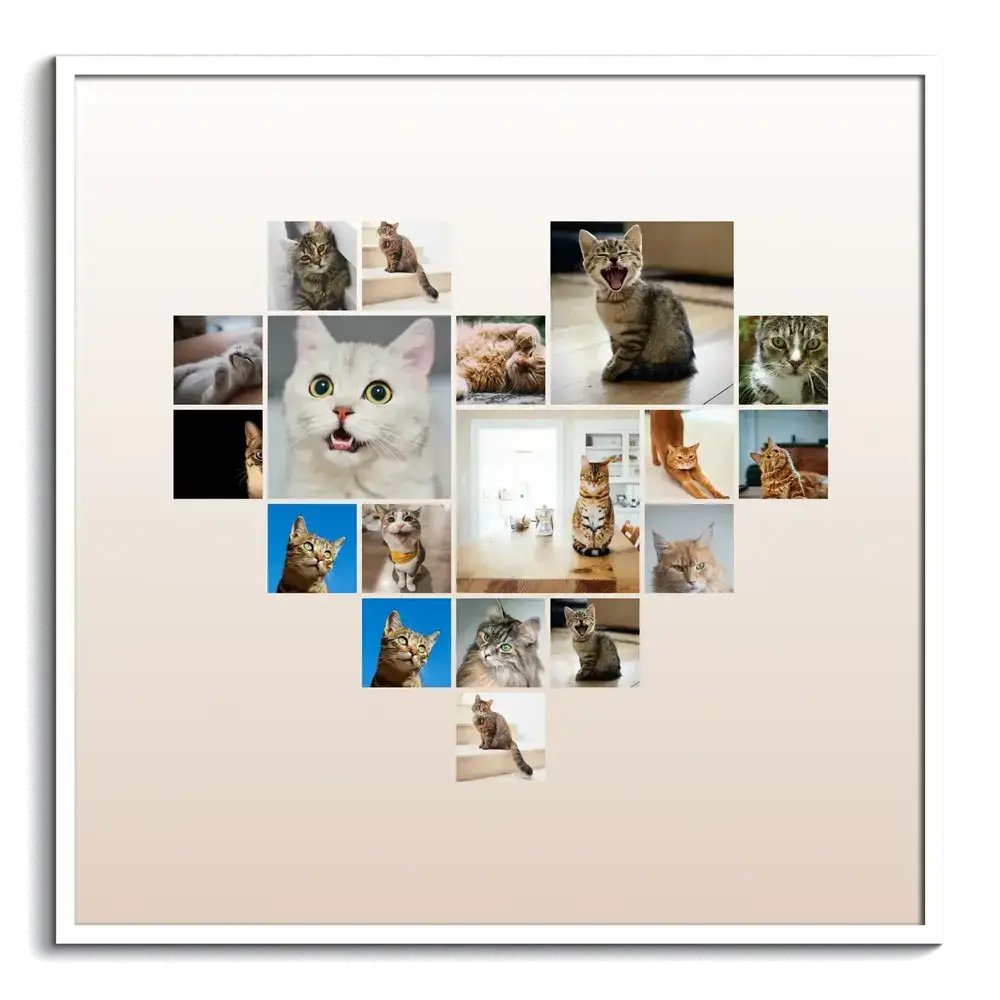 Heart-shaped cat photo collage with a soft beige gradient in a white frame, a gift for cat lovers