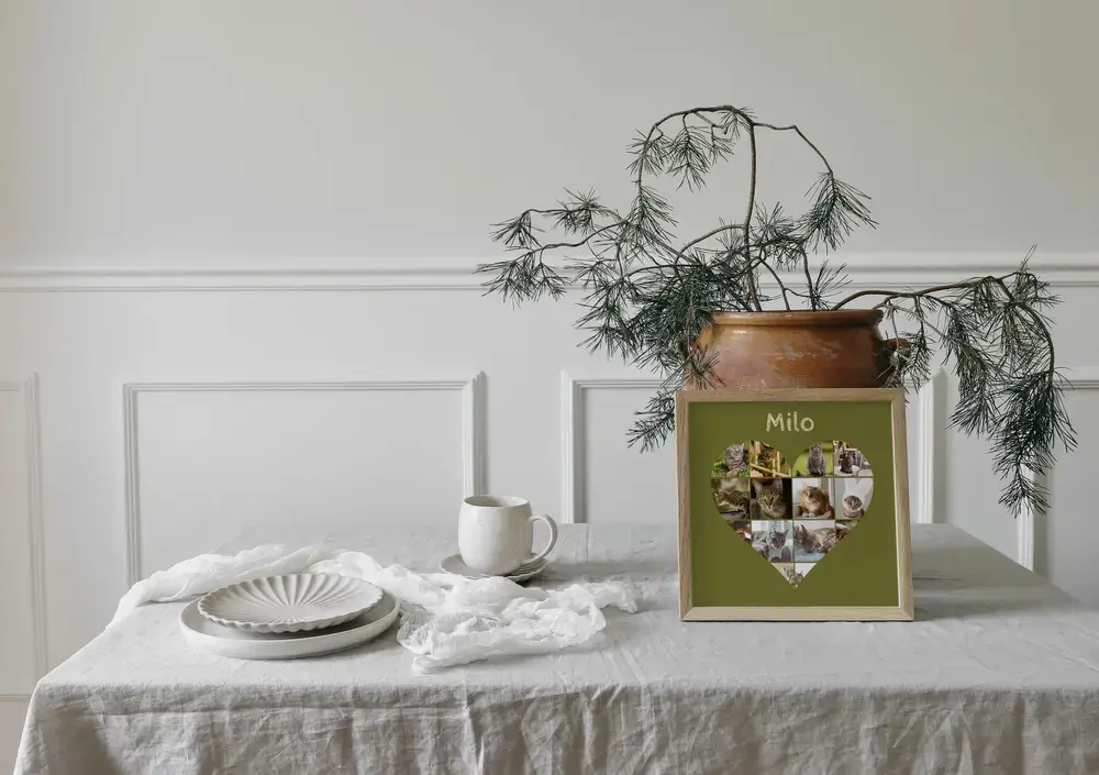 Framed heart-shaped cat photo collage with a name on olive green, displayed on a set table beside a potted plant