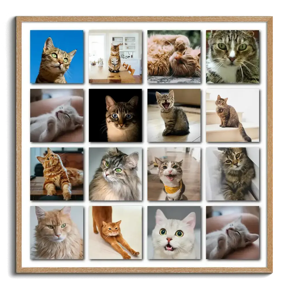 Framed cat photo collage with 16 pictures in a shadowed grid, a natural wood frame gift for cat lovers