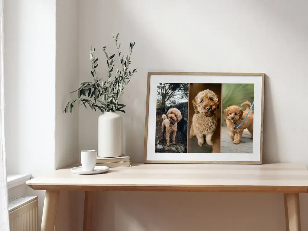Framed dog photo collage with three poodle pictures on a light wood desk beside a vase and cup