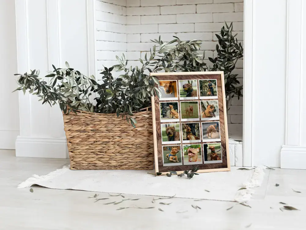 Vertical dog photo collage with twelve Polaroid-style pictures on the floor beside a woven planter and white brick wall