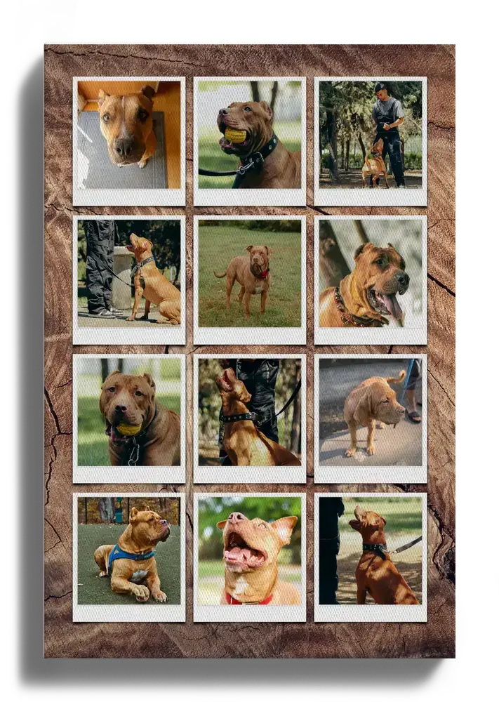 Canvas dog photo collage with twelve Polaroid-style pictures arranged on a dark wood-look background