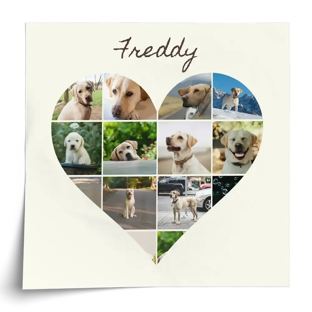 Heart-shaped Labrador photo collage poster with a personalized name on a cream background, a gift for dog parents