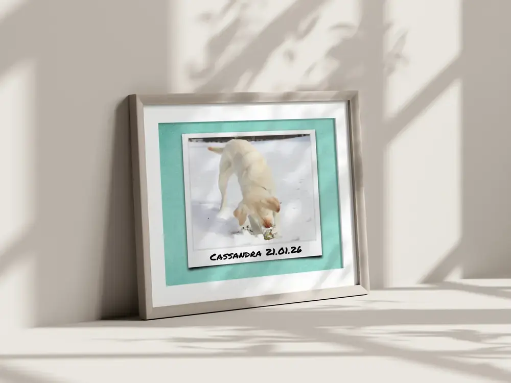 Framed Polaroid-style dog photo on turquoise with a name and date, leaning against a sunlit wall