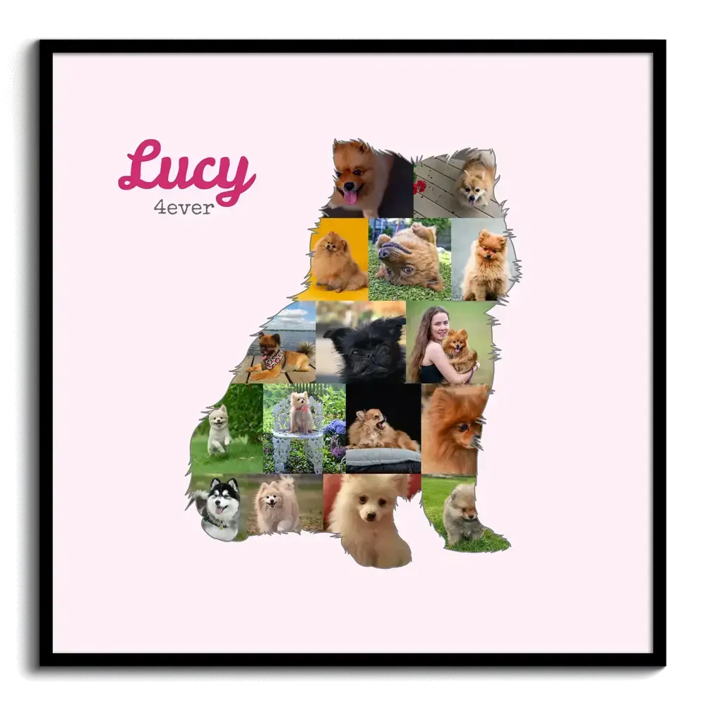 Sitting Pomeranian photo collage with a custom name on pink, displayed in a black frame