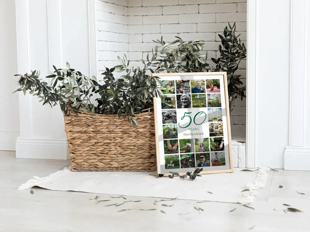 Framed 50th business anniversary photo collage on the floor beside a woven plant basket against a white brick wall
