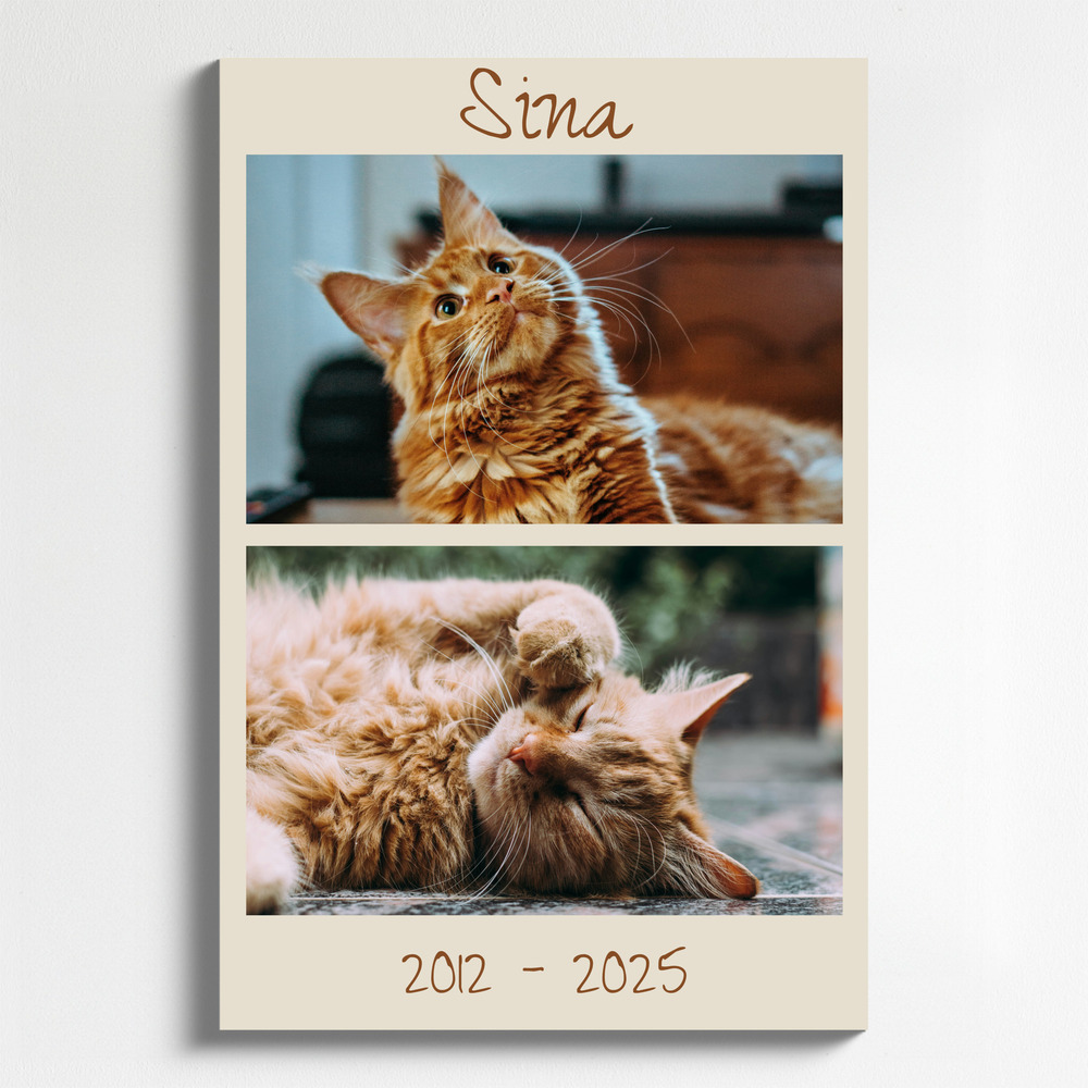 Vertical cat memorial photo collage on canvas, personalized with a name and life dates on a beige background