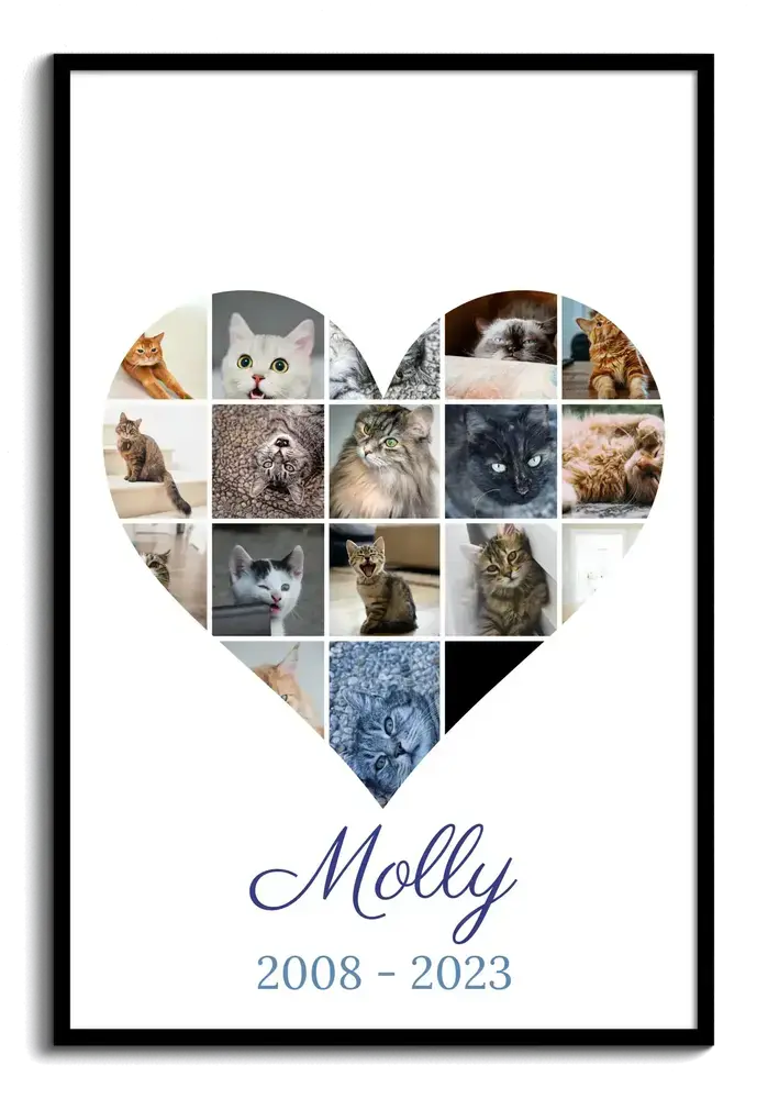 Heart-shaped cat memorial photo collage with name and life dates in a black frame