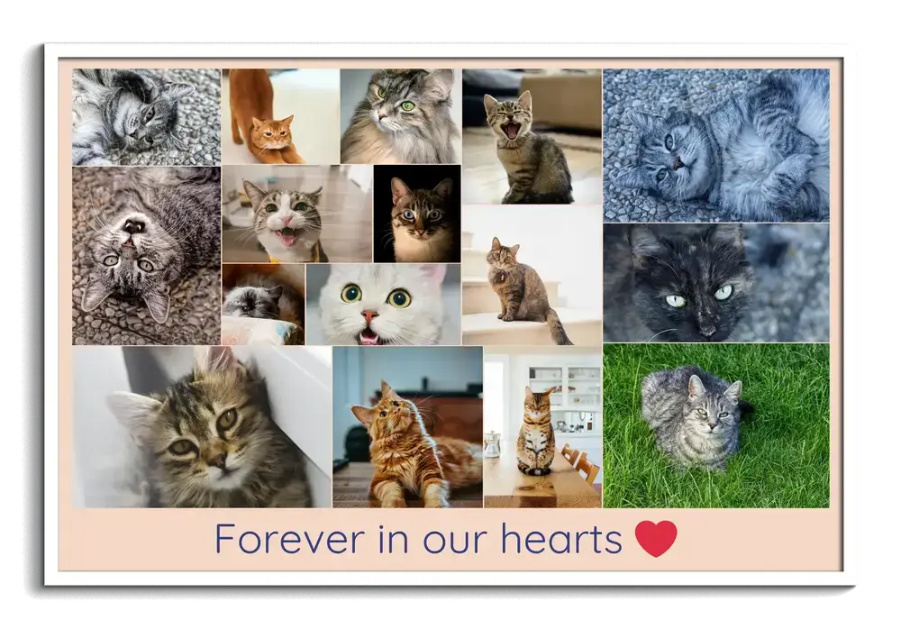 Landscape cat memorial photo collage in a white frame, with a remembrance message and red heart below the photos