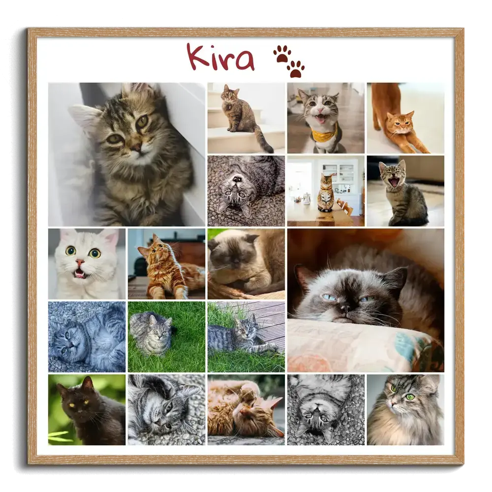 Cat memorial photo collage with a varied grid layout, personalized name and paw prints in a natural wood frame