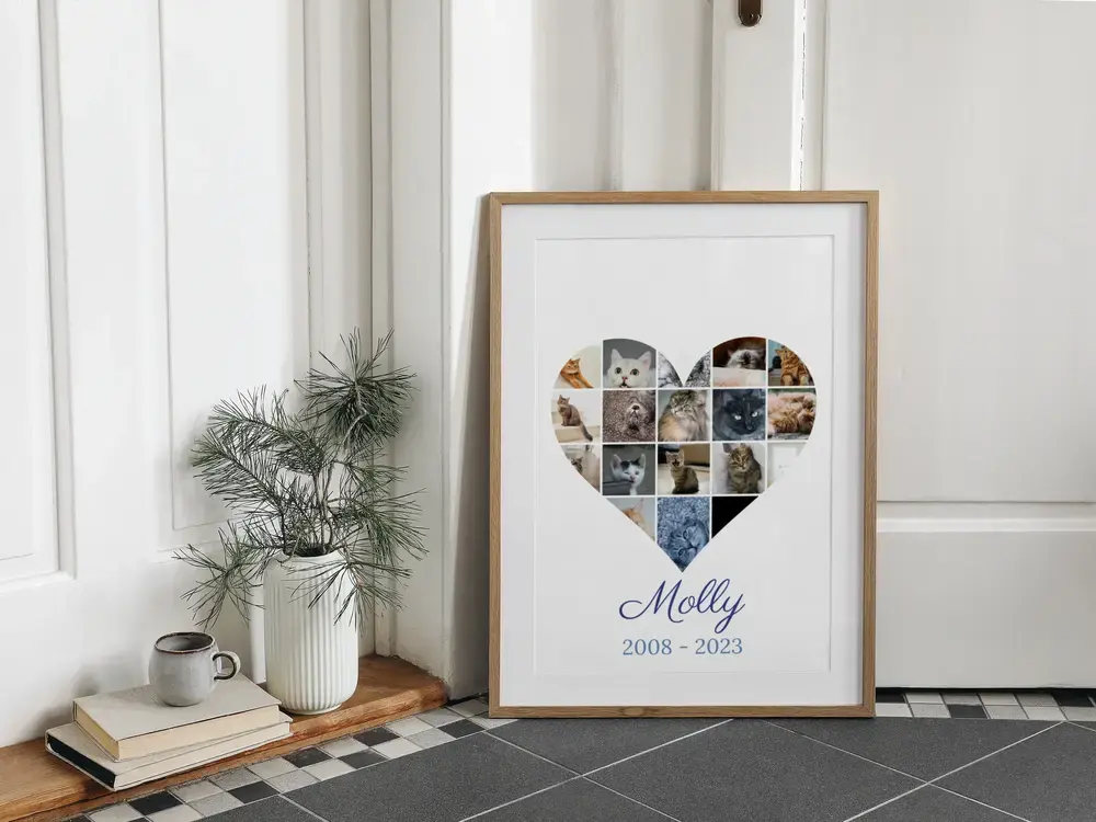 Heart-shaped cat memorial collage with name and life dates, in a wood frame on the floor beside a vase