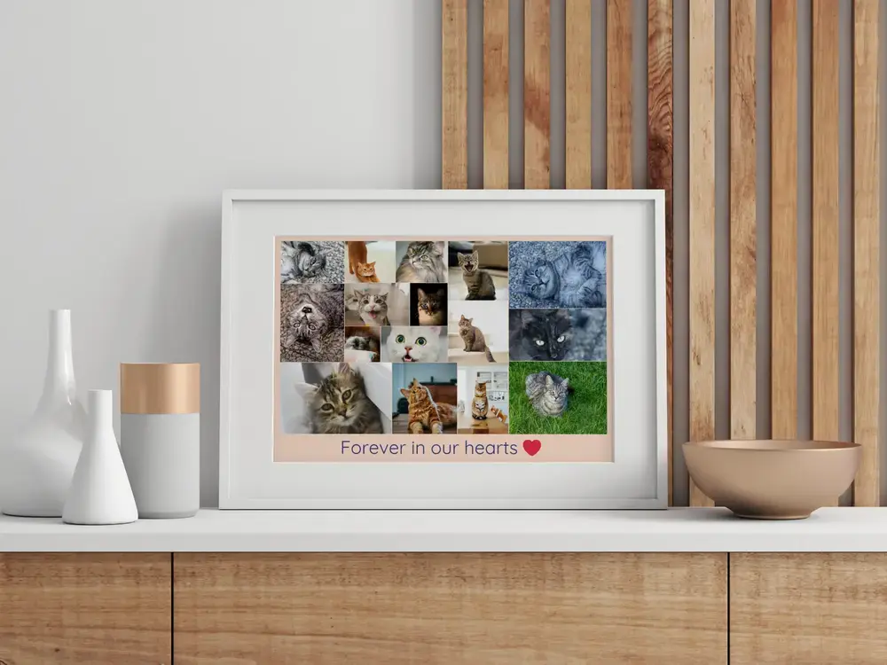 Cat memorial photo collage with a remembrance message in a white frame on a sideboard against wood slats