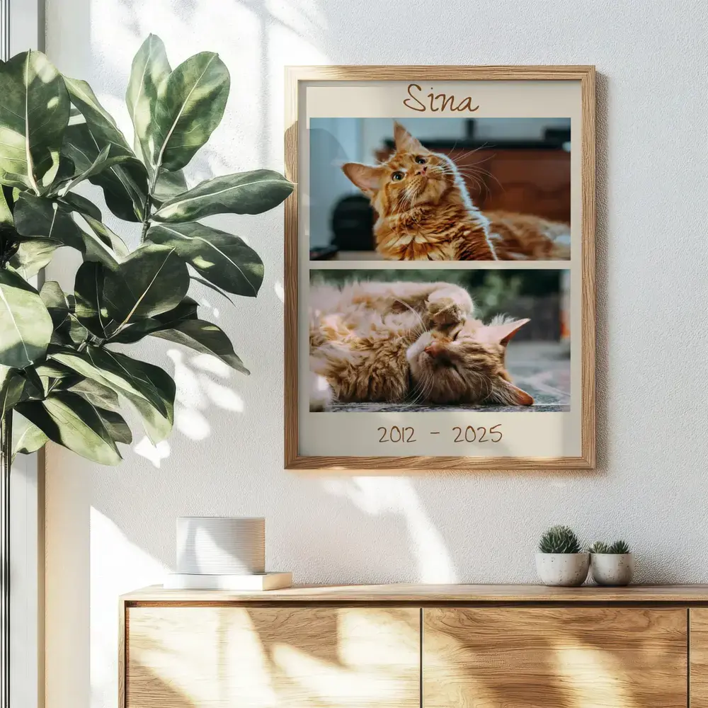 Cat memorial photo collage with a name and life dates in a natural wood frame above a sideboard beside a plant