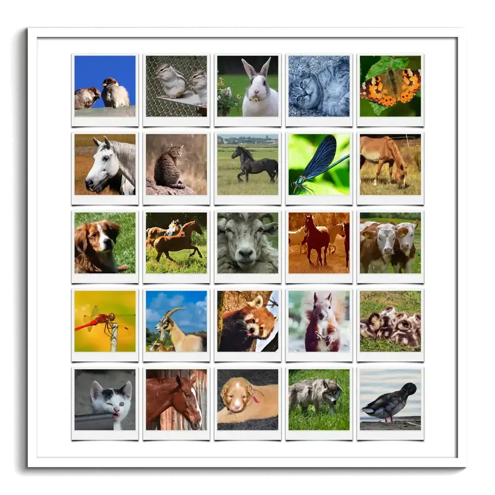 White-framed animal photo collage with 25 Polaroid-style pictures of horses, pets, and wildlife