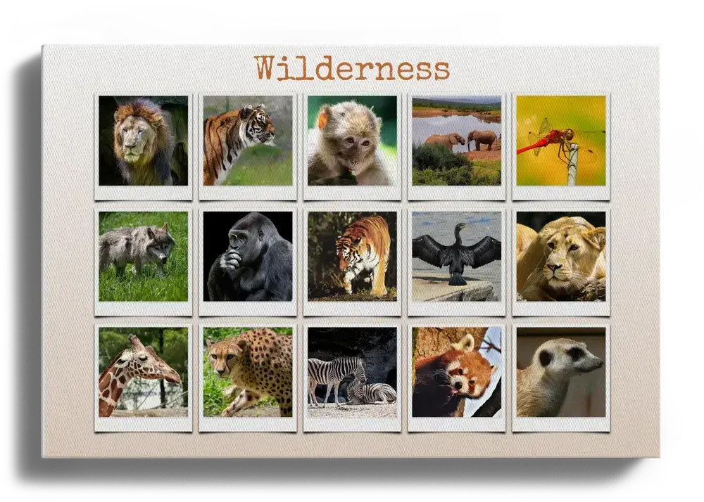 Wildlife photo collage on canvas with 15 Polaroid-style pictures and a heading on a pale gradient background