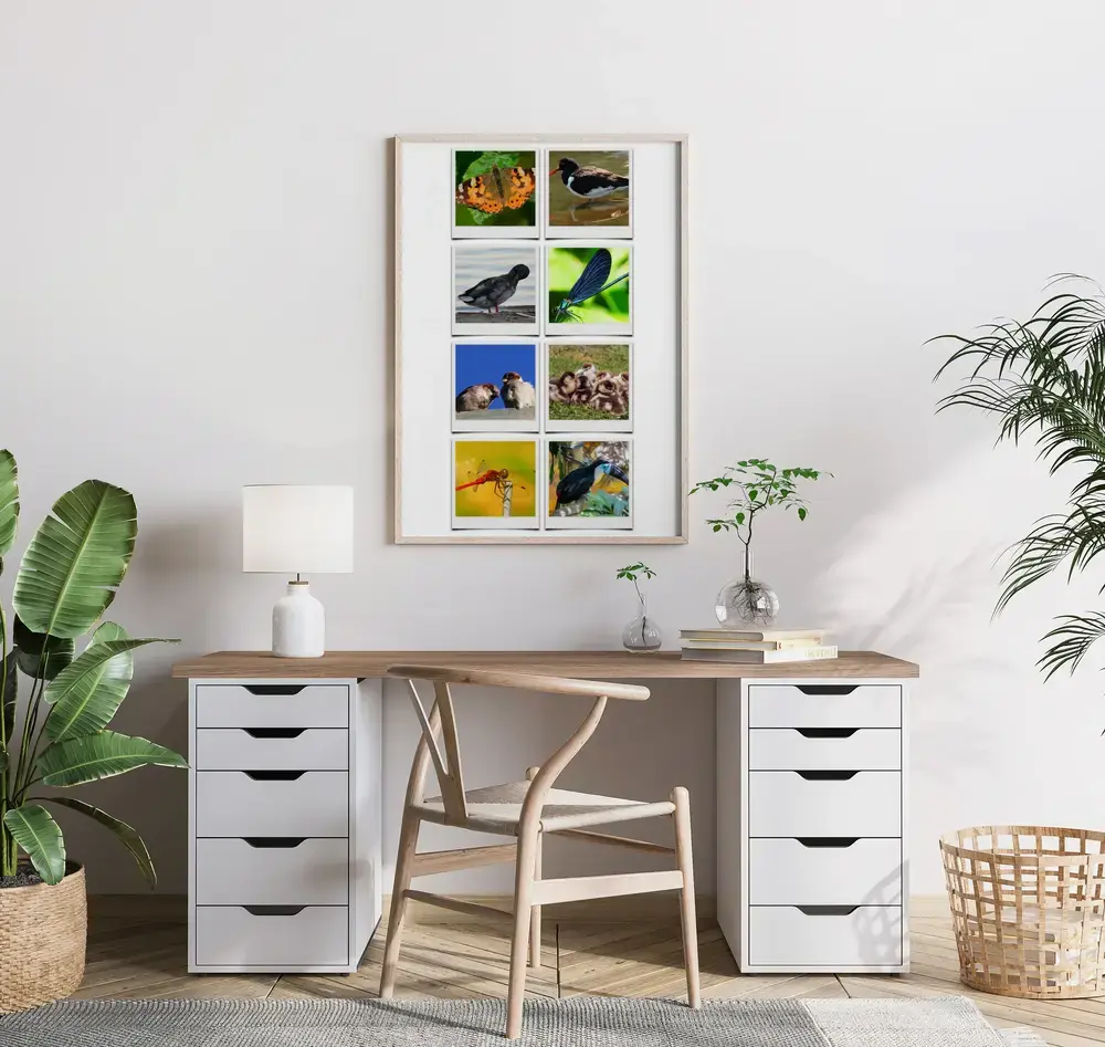 Polaroid-style bird and insect photo collage in a light wood frame above a desk in a plant-filled home office