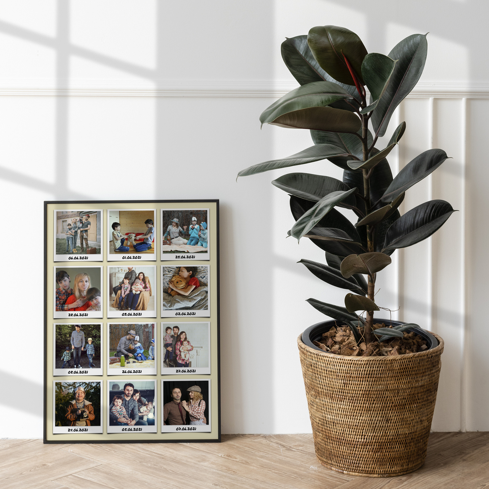 Framed vacation photo collage on the floor beside a large potted plant, a personal gift for a travel buddy
