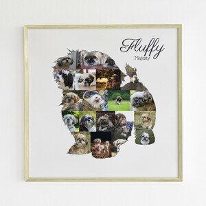 Create Your Own Shih Tzu Photo Collage - Personalize with Your Text