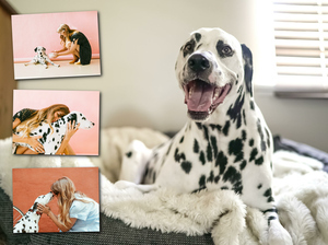 Create Your XXL Alu-Dibond Dog Collage - Personalize & Cherish Forever