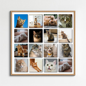 Cat Polaroid Photo Collage - add your cat's name & text; create yours now Cat Polaroid Photo Collage - add your cat's name & text; create yours now