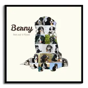 Create Your Berner Sennenhund Photo Collage with Personal Touch