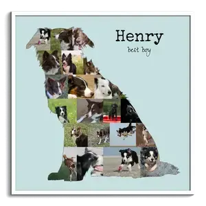 Create Your Custom Border Collie Photo Collage – Perfect Gift for Dog Lovers!