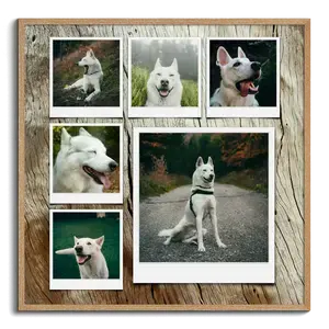 Create Your Dog Photo Collage – Polaroid, Grid or Background Design
