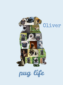 Create Your Custom Pug Photo Collage – Perfect Gift for Dog Lovers