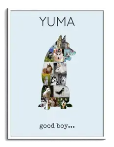 Create Your Own Husky Photo Collage - Personalized Gift for Dog Lovers