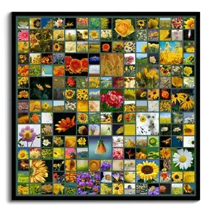 Create Your Custom Nature Photo Collage - Square Format 1-225 Pictures