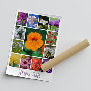 Flower & Plant Photo Collage Print – Create Yours Now, Premium Spring Blooms Flower & Plant Photo Collage Print – Create Yours Now, Premium Spring Blooms