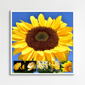 Flower & Plant Photo Collage Print – Create Yours Now, Premium Spring Blooms Flower & Plant Photo Collage Print – Create Yours Now, Premium Spring Blooms