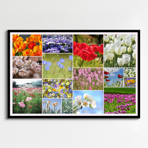 Flower & Plant Photo Collage Print – Create Yours Now, Premium Spring Blooms Flower & Plant Photo Collage Print – Create Yours Now, Premium Spring Blooms