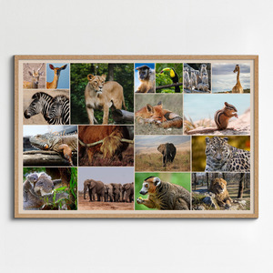 Wildlife Photo Collage – Create your animal & bird wall art, premium print, templates Wildlife Photo Collage – Create your animal & bird wall art, premium print, templates