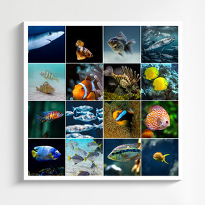 Underwater Photo Collages: Design Your Premium Prints of Sharks, Turtles & Dolphins Underwater Photo Collages: Design Your Premium Prints of Sharks, Turtles & Dolphins