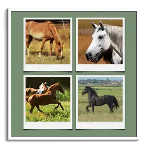 Create Your Own Wildlife Polaroid Collage with Personalized Text