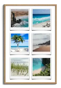 Create Your Nature Polaroid Collage: Capture Seasons in Vibrant Colors