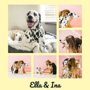 "Create Your Stylish Dog Photo Collage with Personalized Text"