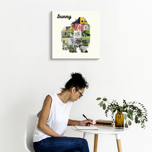 Create Your Bolonka Zwetna Photo Collage: Personalized Pet Keepsake