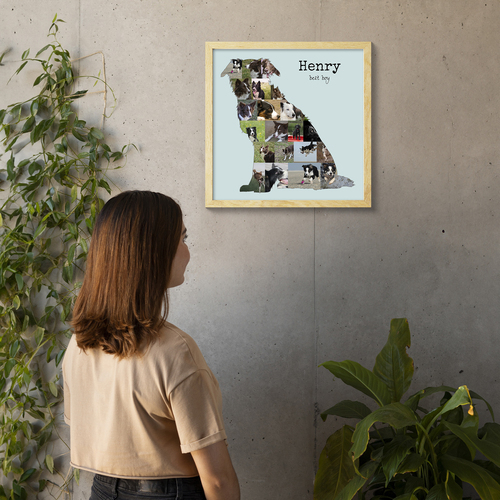 Create Your Custom Border Collie Photo Collage – Perfect Gift for Dog Lovers!