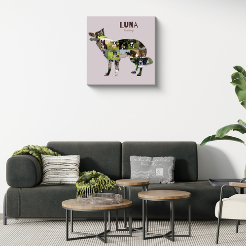 Create Your Custom Border Collie Photo Collage – Perfect Gift for Dog Lovers!