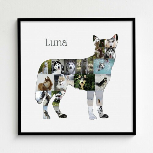 Create Your Own Husky Photo Collage - Personalized Gift for Dog Lovers