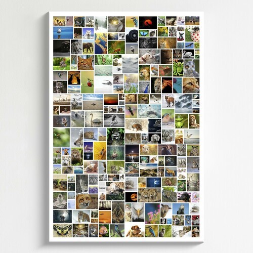 Create Your Own Large Vertical Wild Photo Collage - Up to 200 Pics!